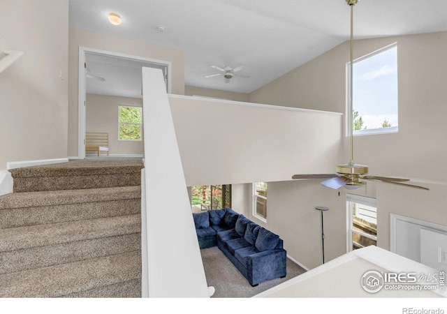 1724 Holeman Dr, Erie, CO 80516 - stairway featuring ceiling fan, lofted ceiling, and carpet