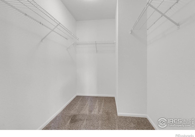 1724 Holeman Dr, Erie, CO 80516 - spacious closet featuring carpet floors