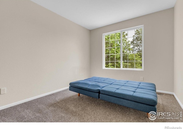 1724 Holeman Dr, Erie, CO 80516 - sitting room featuring carpet flooring and baseboards
