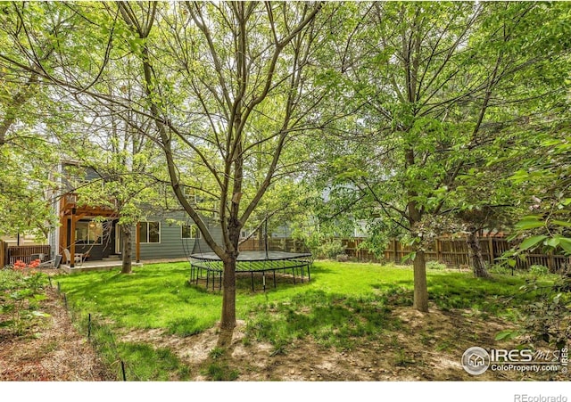 1724 Holeman Dr, Erie, CO 80516 - view of yard featuring a trampoline and a patio area