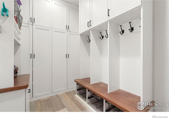 5085 Blanchette St, Timnath, CO 80547 - mudroom featuring light wood-type flooring