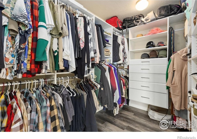 walk in closet with wood finished floors