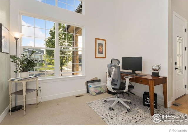 2119 Pelican Farm Rd, Windsor, CO 80550 - office space with plenty of natural light, baseboards, and carpet