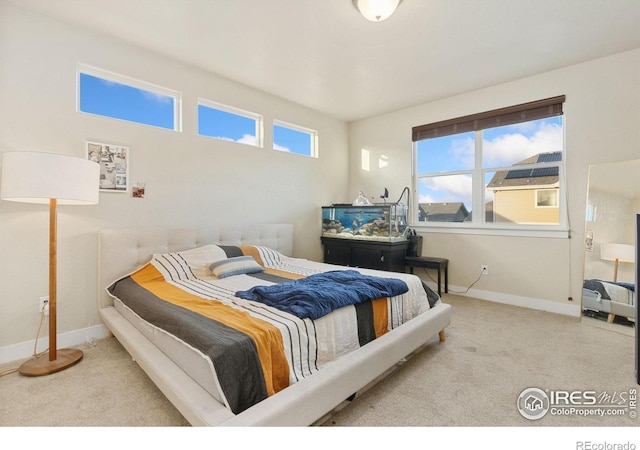 2119 Pelican Farm Rd, Windsor, CO 80550 - bedroom with carpet and baseboards