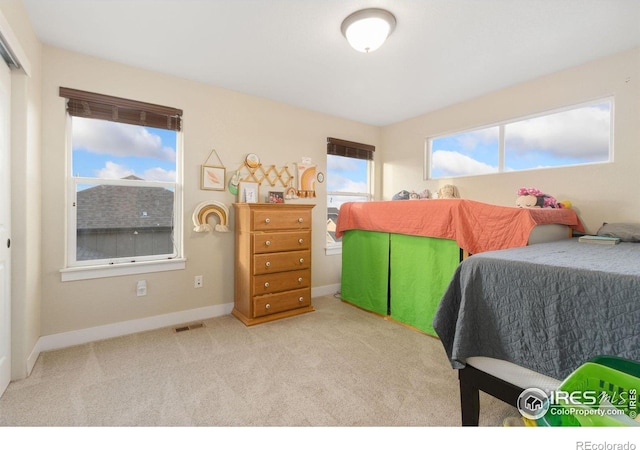 2119 Pelican Farm Rd, Windsor, CO 80550 - bedroom featuring carpet floors and baseboards