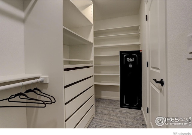 6506 Merrimack Dr, Castle Pines, CO 80108 - walk in closet featuring carpet flooring