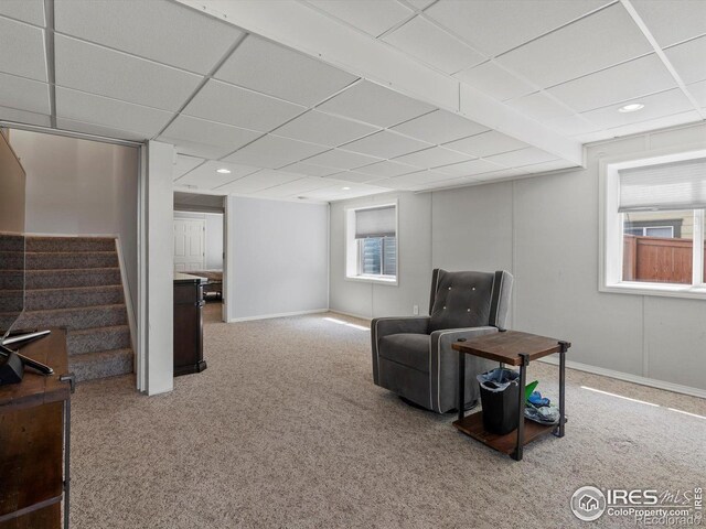 10553 Joplin St, Commerce City, CO 80022 - photo 29