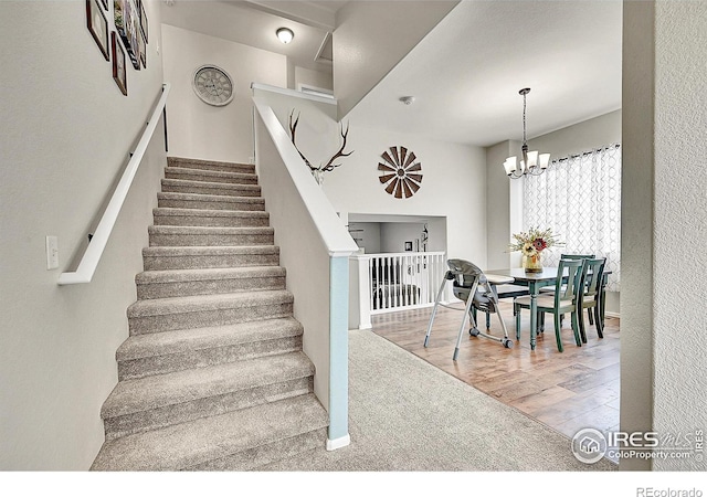 711 Mt Evans Ave, Severance, CO 80550 - staircase with carpet, a chandelier, and wood finished floors