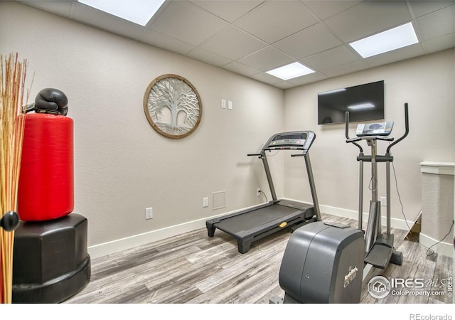 workout room featuring wood finished floors, baseboards, and a drop ceiling