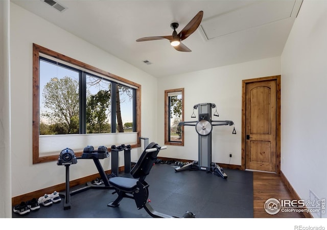 9833 Shoreline Dr, Longmont, CO 80504 - photo 24