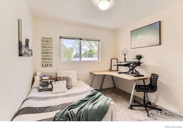 view of carpeted bedroom