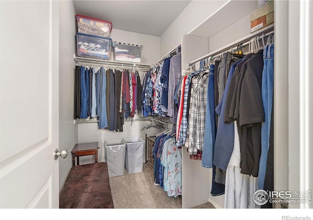 spacious closet with carpet
