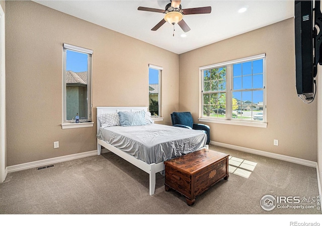 4609 Freehold Dr, Windsor, CO 80550 - carpeted bedroom featuring baseboards and a ceiling fan