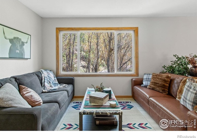4888 Silver Spruce Ln, Evergreen, CO 80439 - living area with baseboards