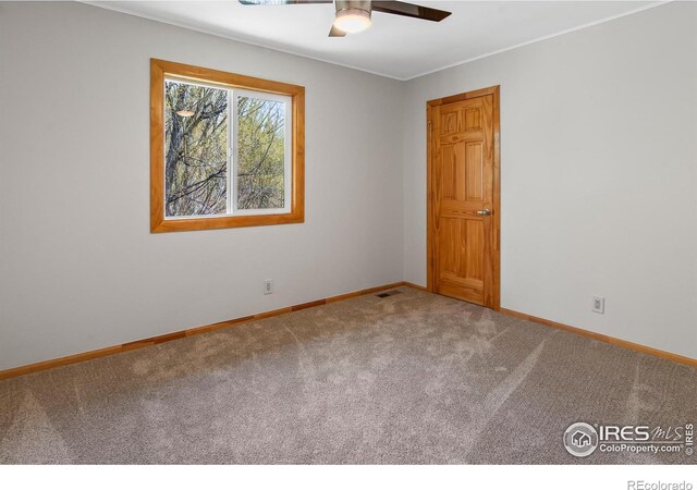 4888 Silver Spruce Ln, Evergreen, CO 80439 - unfurnished room featuring carpet floors, ceiling fan, baseboards, and ornamental molding
