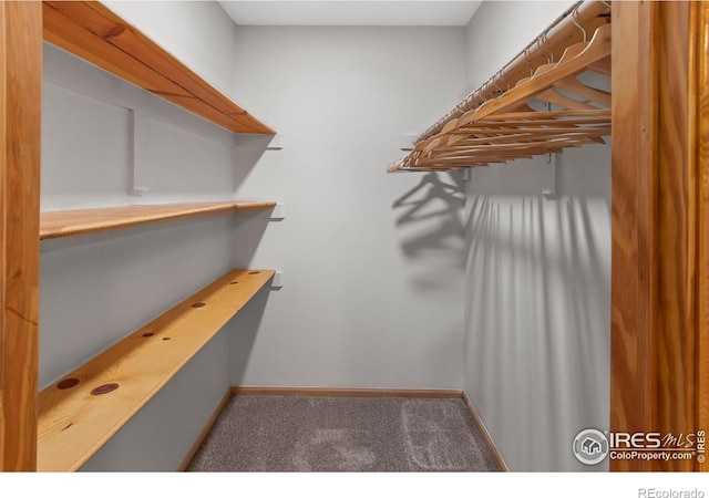 4888 Silver Spruce Ln, Evergreen, CO 80439 - spacious closet featuring carpet flooring