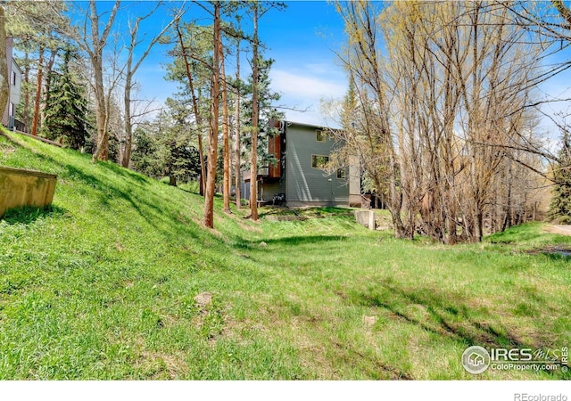 4888 Silver Spruce Ln, Evergreen, CO 80439 - view of yard