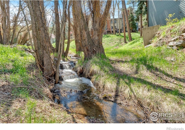 4888 Silver Spruce Ln, Evergreen, CO 80439 - view of yard