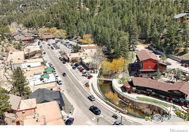 4888 Silver Spruce Ln, Evergreen, CO 80439 - aerial view of a forest