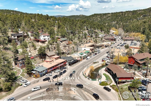 4888 Silver Spruce Ln, Evergreen, CO 80439 - bird's eye view of a forest