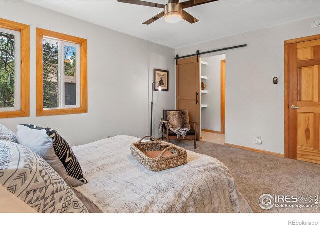 4888 Silver Spruce Ln, Evergreen, CO 80439 - photo 27