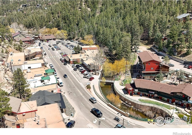 4888 Silver Spruce Ln, Evergreen, CO 80439 - photo 38