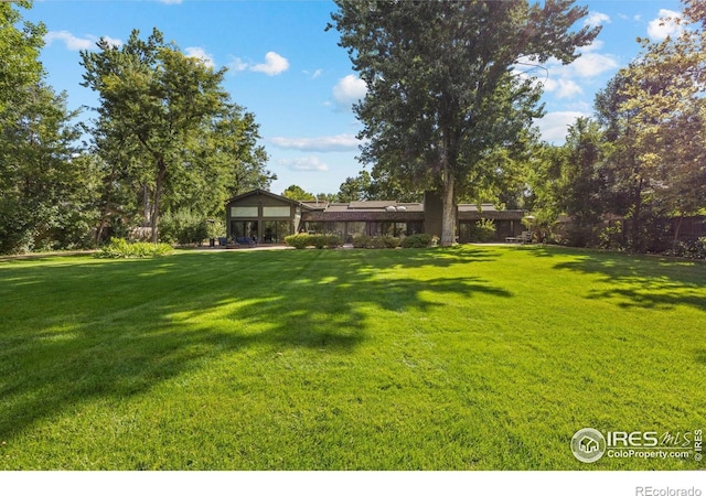 819 Gapter Rd, Boulder, CO 80303 - view of yard