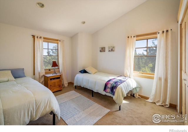 351 County Road 128n, Nederland, CO 80466 - bedroom with lofted ceiling, light colored carpet, recessed lighting, and baseboards