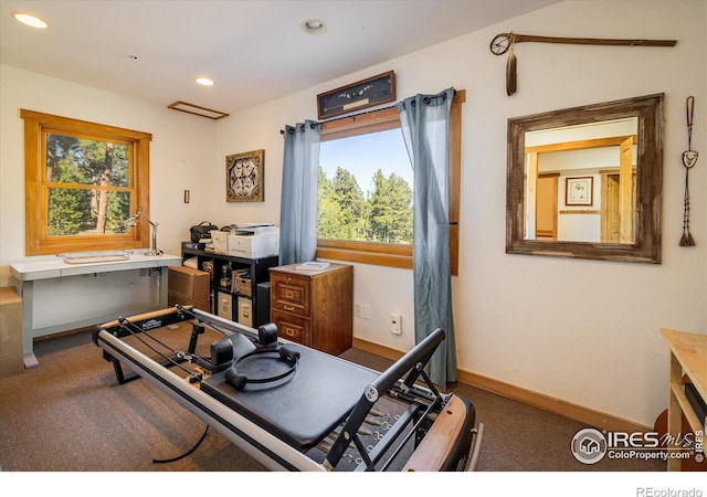 351 County Road 128n, Nederland, CO 80466 - exercise area featuring carpet flooring, recessed lighting, and baseboards