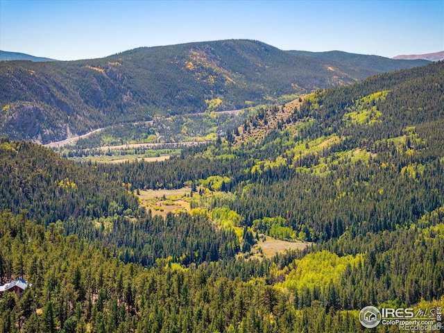 351 County Road 128n, Nederland, CO 80466 - view of mountain background featuring a heavily wooded area