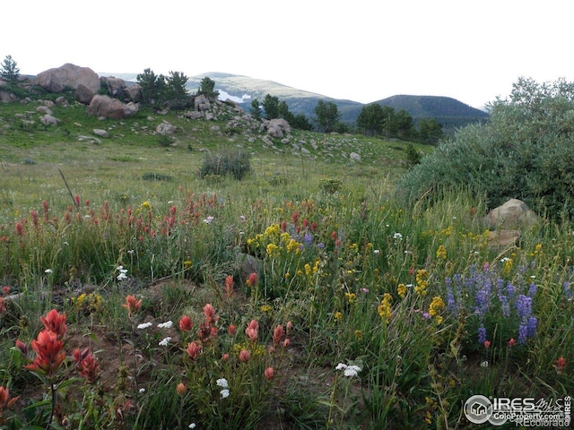 351 County Road 128n, Nederland, CO 80466 - view of mountain background