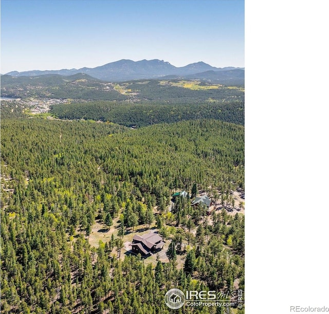 351 County Road 128n, Nederland, CO 80466 - view of mountain backdrop featuring a forest