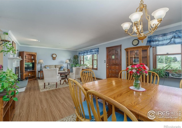20576 Staghorn Ct, Johnstown, CO 80534 - photo 8