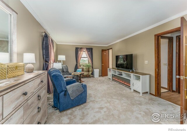 20576 Staghorn Ct, Johnstown, CO 80534 - photo 15