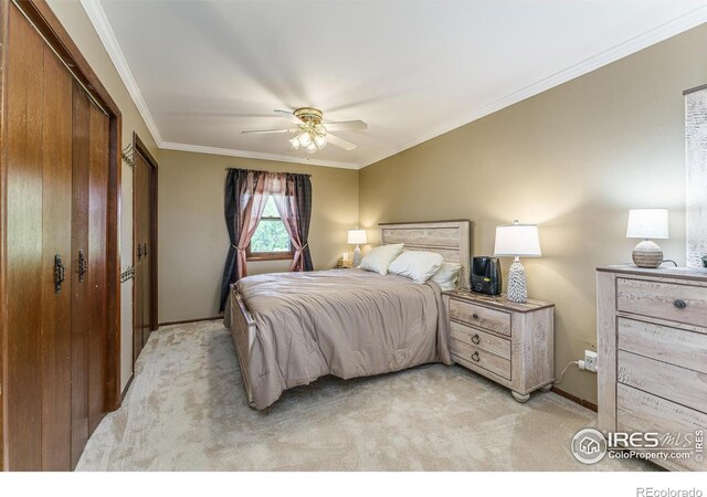 20576 Staghorn Ct, Johnstown, CO 80534 - photo 16