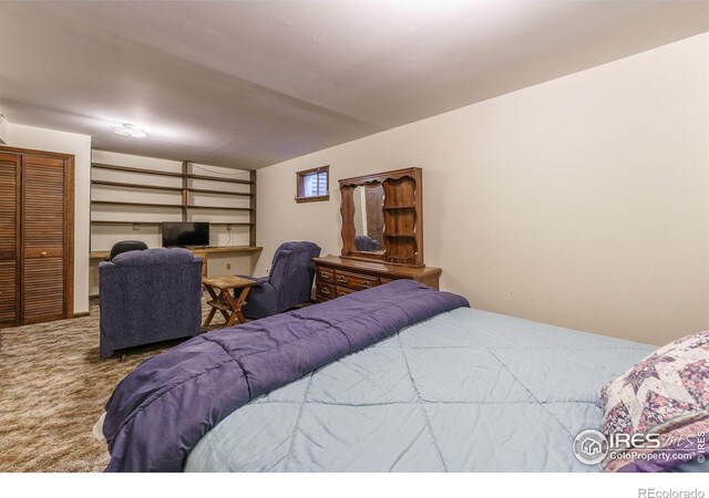 20576 Staghorn Ct, Johnstown, CO 80534 - photo 21
