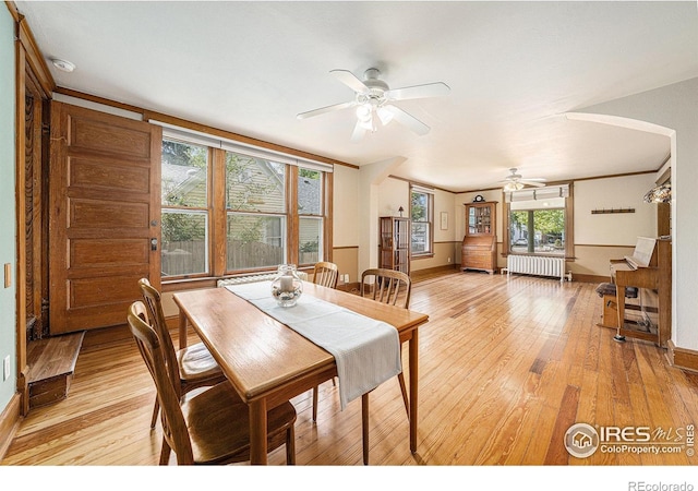 dining space with ceiling fan, radiator heating unit, light wood-style floors, and baseboards