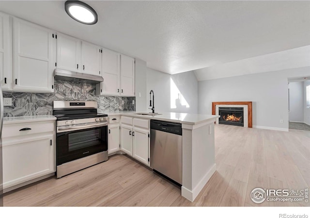 12525 E Tennessee Cir Unit E, Aurora, CO 80012 - kitchen with stainless steel appliances, under cabinet range hood, a peninsula, light countertops, and light wood finished floors