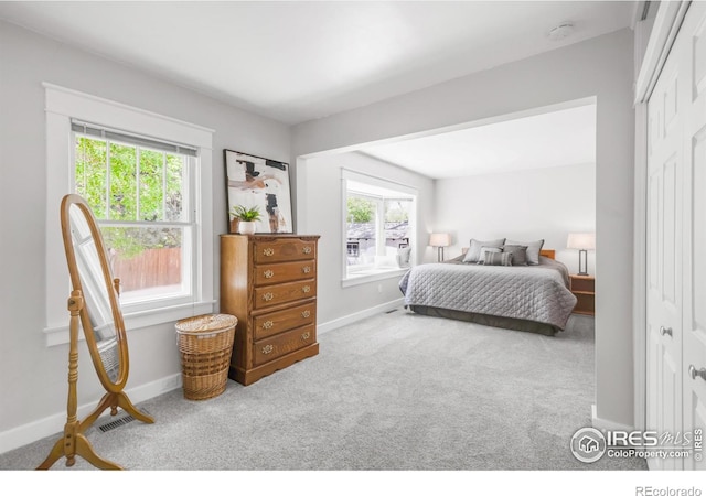 bedroom featuring multiple windows, carpet, baseboards, and a closet
