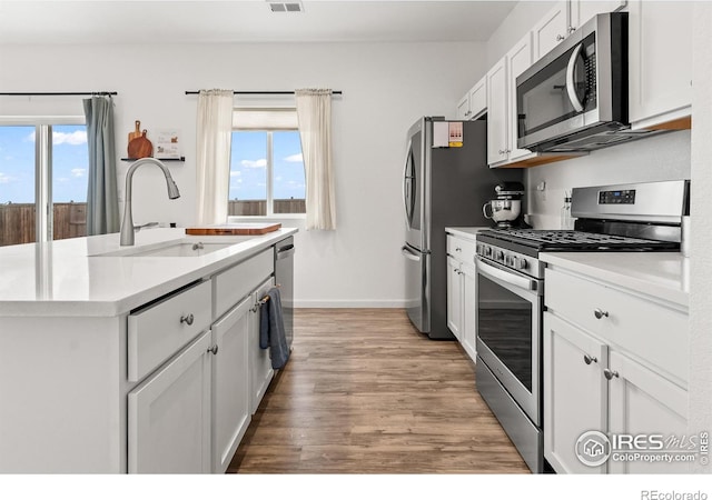 kitchen featuring appliances with stainless steel finishes, a sink, healthy amount of natural light, and light wood-style floors