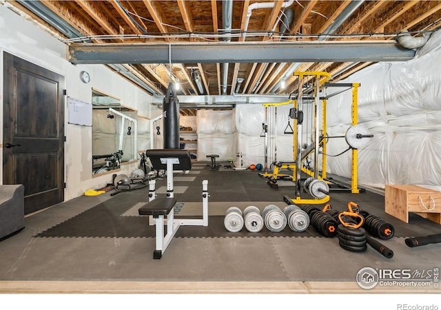 2004 Day Spring Dr, Windsor, CO 80550
