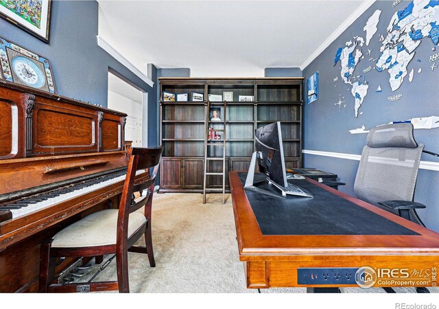 office with carpet floors and ornamental molding
