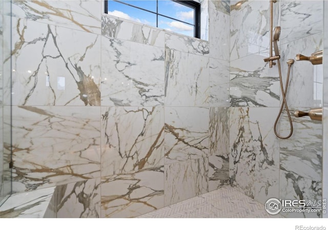 951 Warbling Dr, Windsor, CO 80550 - bathroom view of a marble finish shower