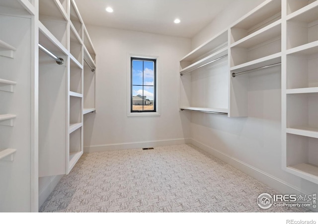 951 Warbling Dr, Windsor, CO 80550 - spacious closet with carpet