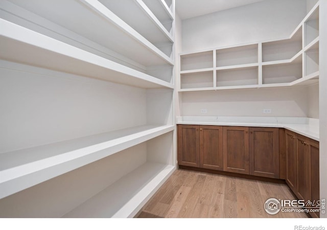 951 Warbling Dr, Windsor, CO 80550 - view of storage area