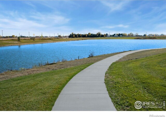 951 Warbling Dr, Windsor, CO 80550 - water view