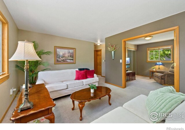 5930 Mars Dr, Fort Collins, CO 80525 - carpeted living area featuring baseboards