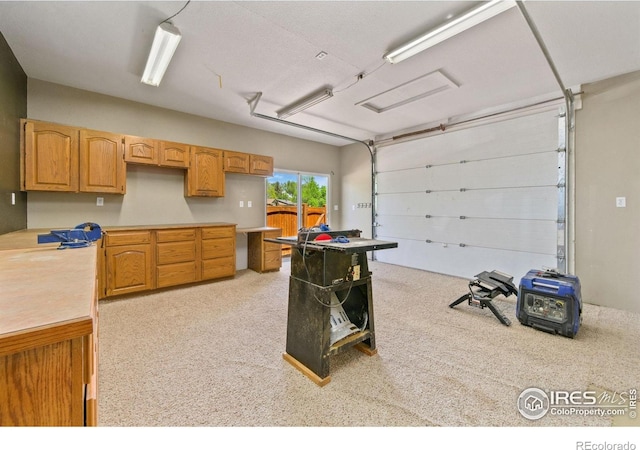 5930 Mars Dr, Fort Collins, CO 80525 - view of garage