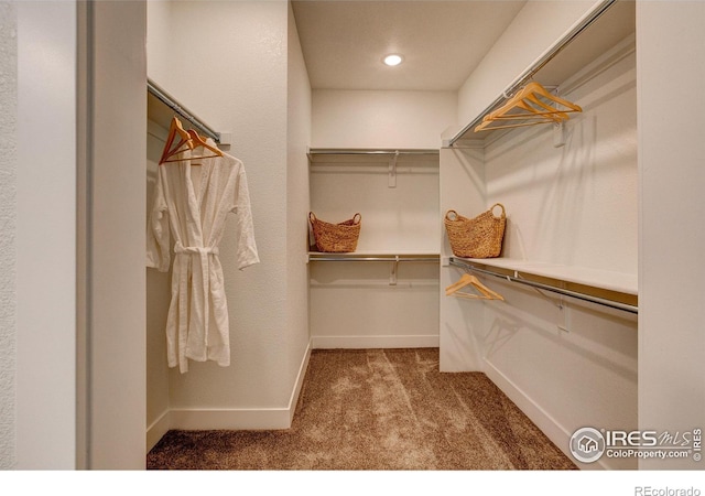 walk in closet featuring carpet floors