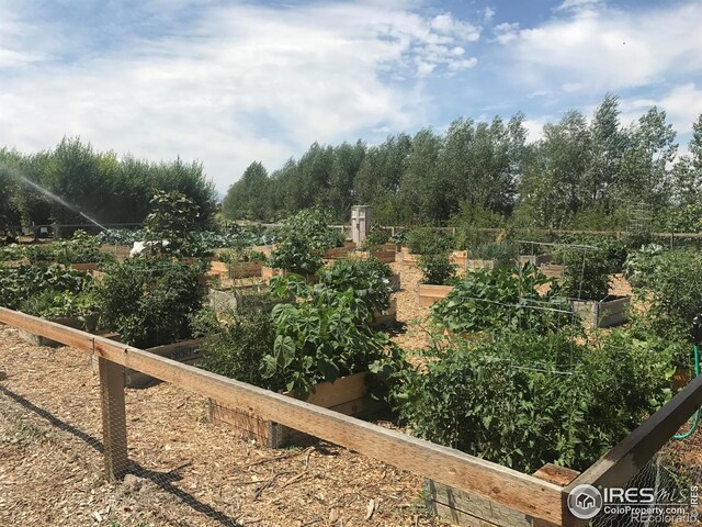 view of yard with a vegetable garden and view of wooded area